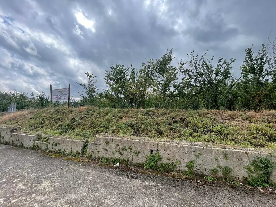 Immagine 5 di Terreno residenziale in vendita  in avella a Avella