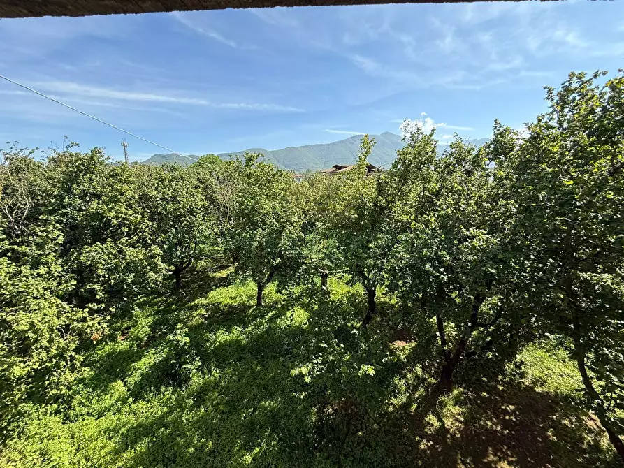 Immagine 15 di Villa in vendita  in Via Macchione a Calvanico