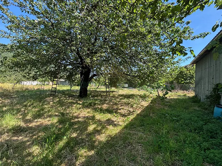 Immagine 12 di Locale commerciale in vendita  in Via ZAMBRANO a Siano