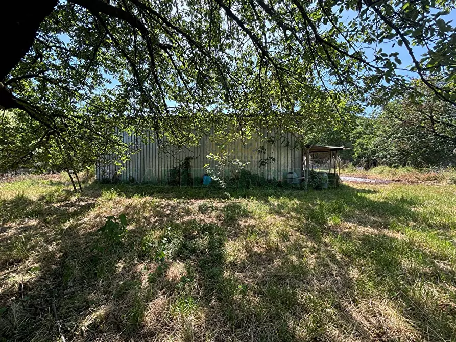 Immagine 14 di Locale commerciale in vendita  in Via ZAMBRANO a Siano