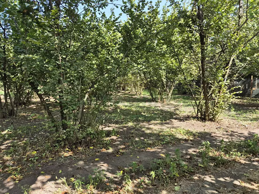 Immagine 2 di Terreno agricolo in vendita  in contrada perni a Cercola