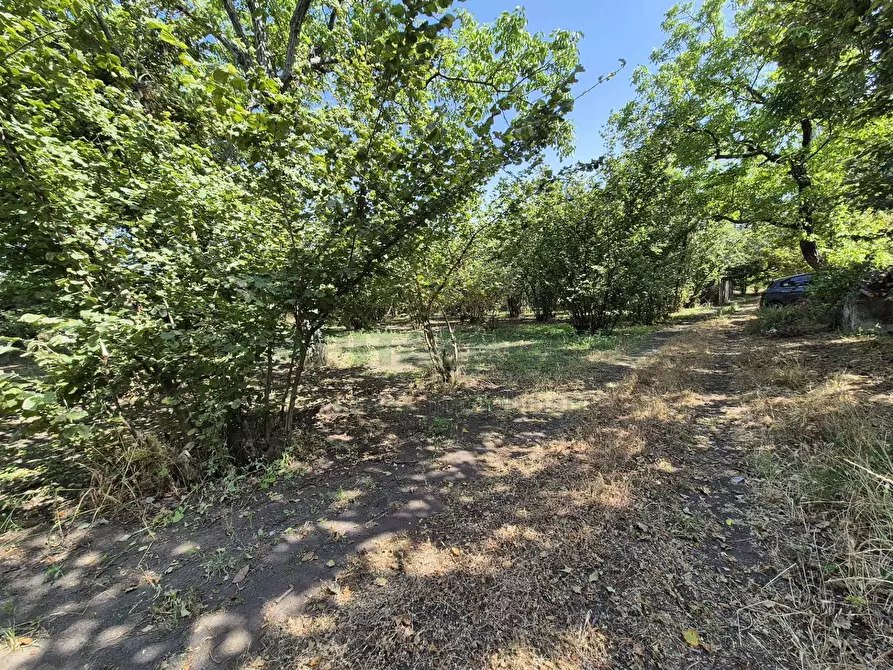 Immagine 5 di Terreno agricolo in vendita  in contrada perni a Cercola