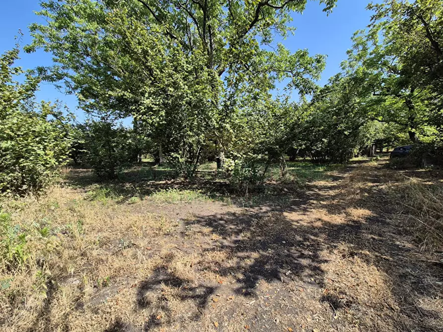 Immagine 7 di Terreno agricolo in vendita  in contrada perni a Cercola