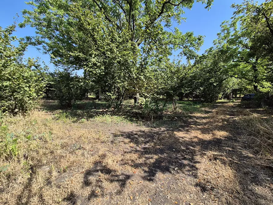 Immagine 8 di Terreno agricolo in vendita  in contrada perni a Cercola