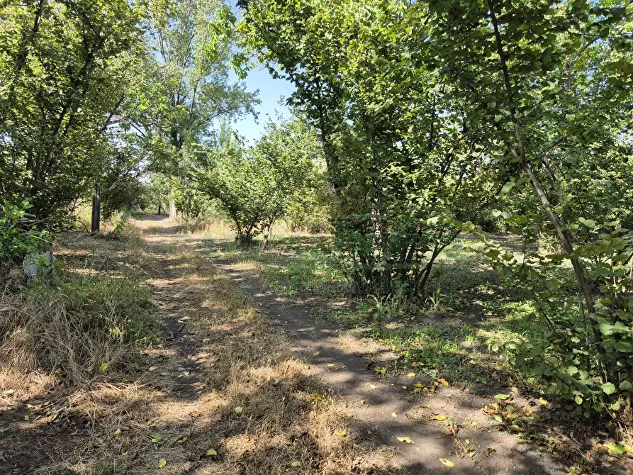 Immagine 11 di Terreno agricolo in vendita  in contrada perni a Cercola
