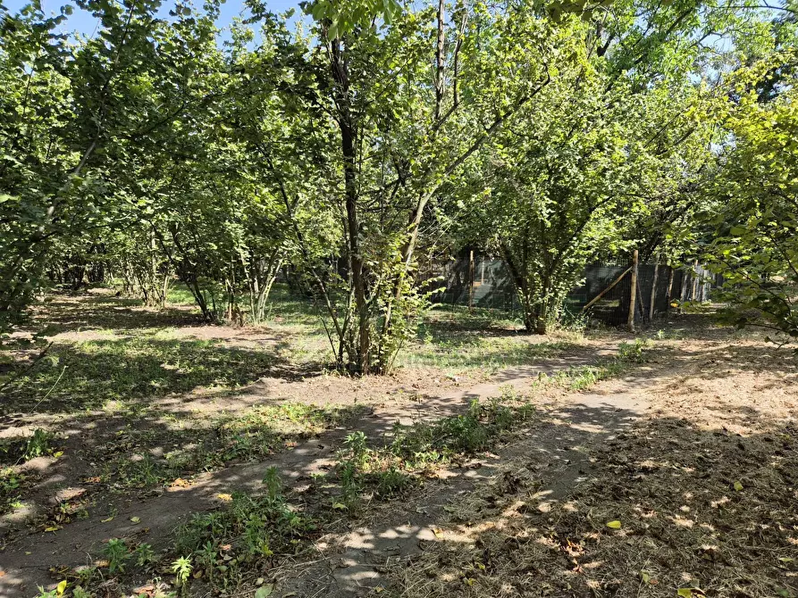 Immagine 12 di Terreno agricolo in vendita  in contrada perni a Cercola