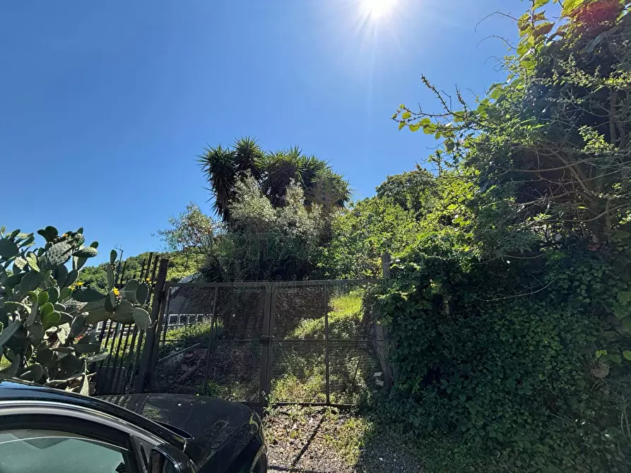 Immagine 1 di Terreno agricolo in vendita  in VICINALE DELL ABBADESSA a Mercato San Severino