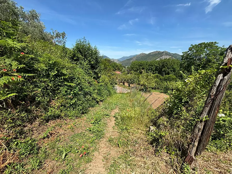 Immagine 2 di Terreno agricolo in vendita  in VICINALE DELL ABBADESSA a Mercato San Severino