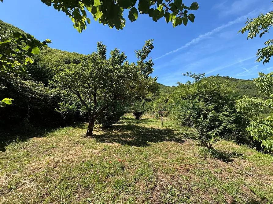 Immagine 7 di Terreno agricolo in vendita  in VICINALE DELL ABBADESSA a Mercato San Severino