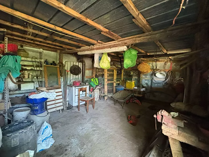 Immagine 10 di Terreno agricolo in vendita  in VICINALE DELL ABBADESSA a Mercato San Severino