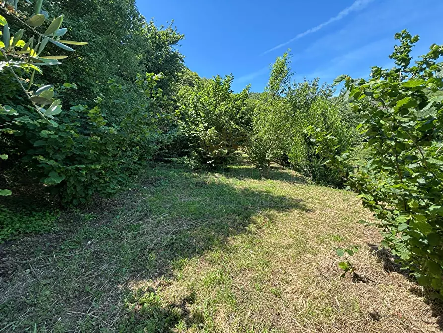Immagine 12 di Terreno agricolo in vendita  in VICINALE DELL ABBADESSA a Mercato San Severino