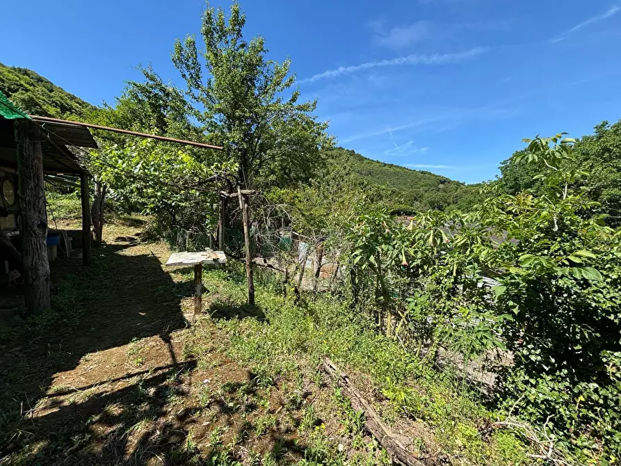 Immagine 16 di Terreno agricolo in vendita  in VICINALE DELL ABBADESSA a Mercato San Severino