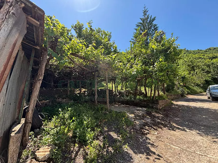 Immagine 19 di Terreno agricolo in vendita  in VICINALE DELL ABBADESSA a Mercato San Severino
