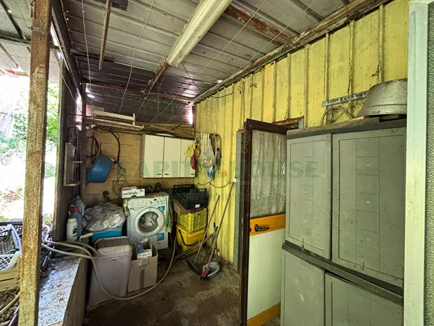 Immagine 23 di Terreno agricolo in vendita  in VICINALE DELL ABBADESSA a Mercato San Severino