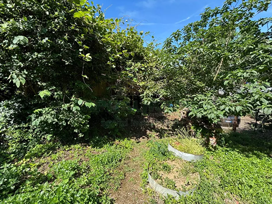 Immagine 27 di Terreno agricolo in vendita  in VICINALE DELL ABBADESSA a Mercato San Severino