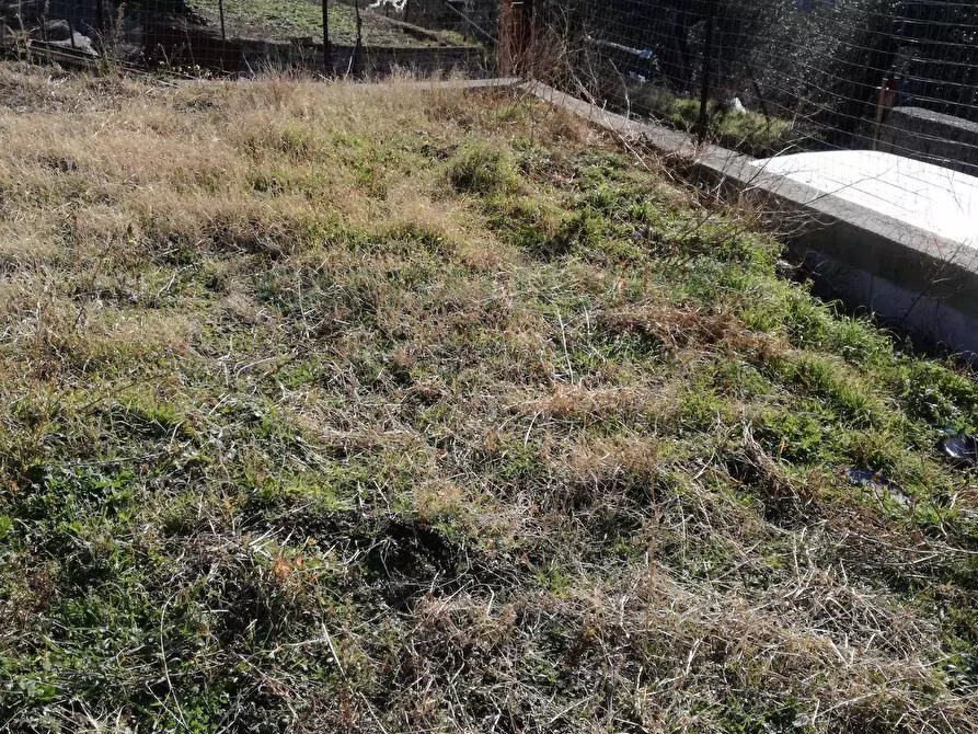 Immagine 1 di Terreno agricolo in vendita  in via san francesco a Avella