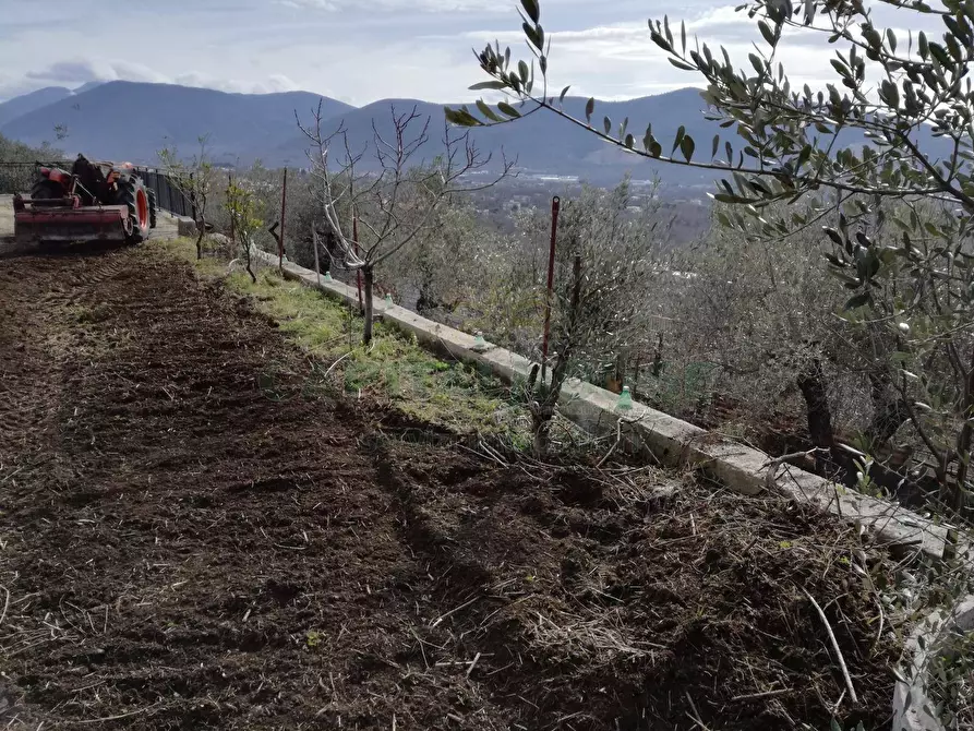 Immagine 2 di Terreno agricolo in vendita  in via san francesco a Avella