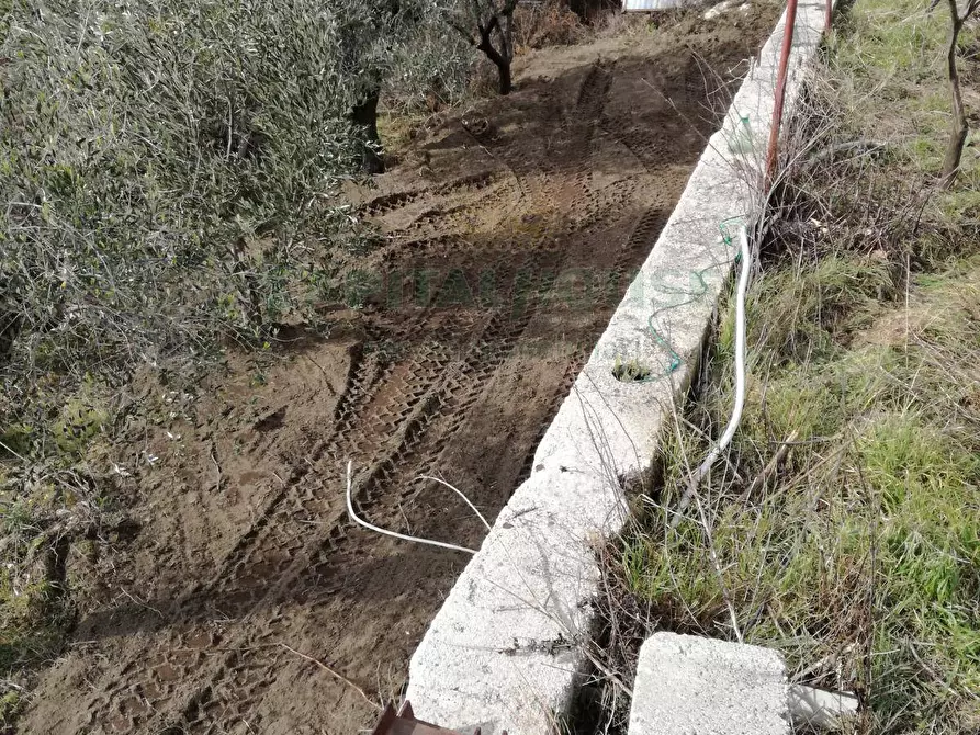 Immagine 5 di Terreno agricolo in vendita  in via san francesco a Avella