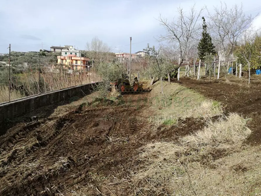 Immagine 10 di Terreno agricolo in vendita  in via san francesco a Avella