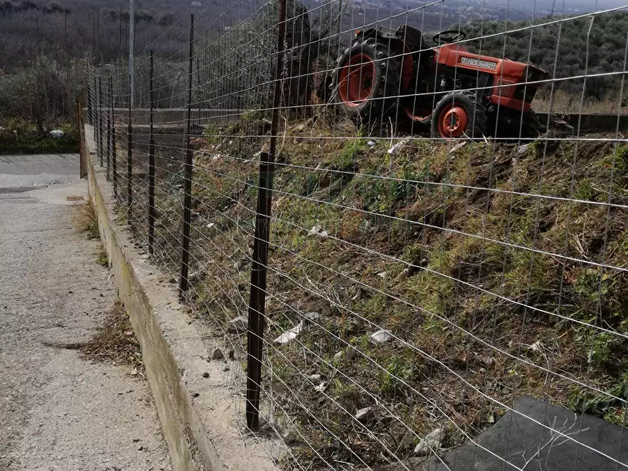 Immagine 11 di Terreno agricolo in vendita  in via san francesco a Avella