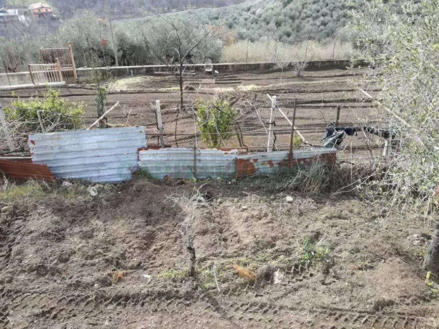Immagine 13 di Terreno agricolo in vendita  in via san francesco a Avella
