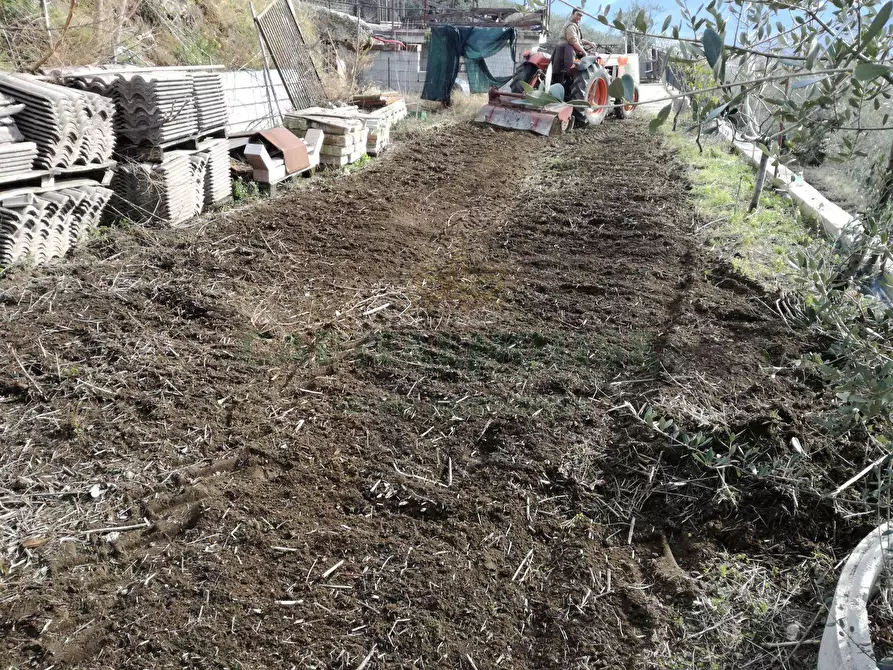Immagine 14 di Terreno agricolo in vendita  in via san francesco a Avella