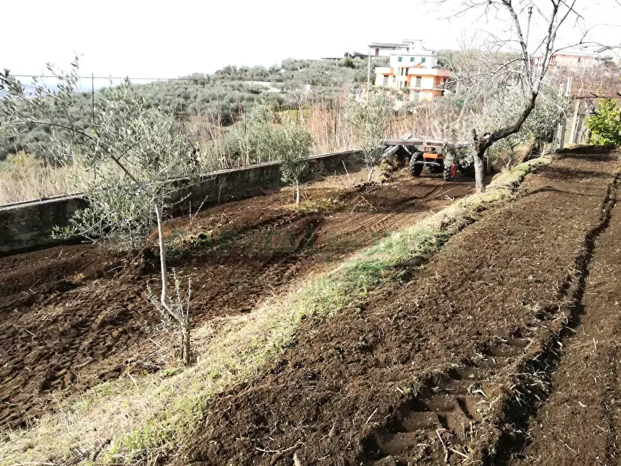 Immagine 19 di Terreno agricolo in vendita  in via san francesco a Avella