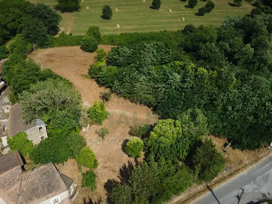 Immagine 14 di Casa indipendente in vendita  in Contrada Molino Corte a Sant'agata De' Goti