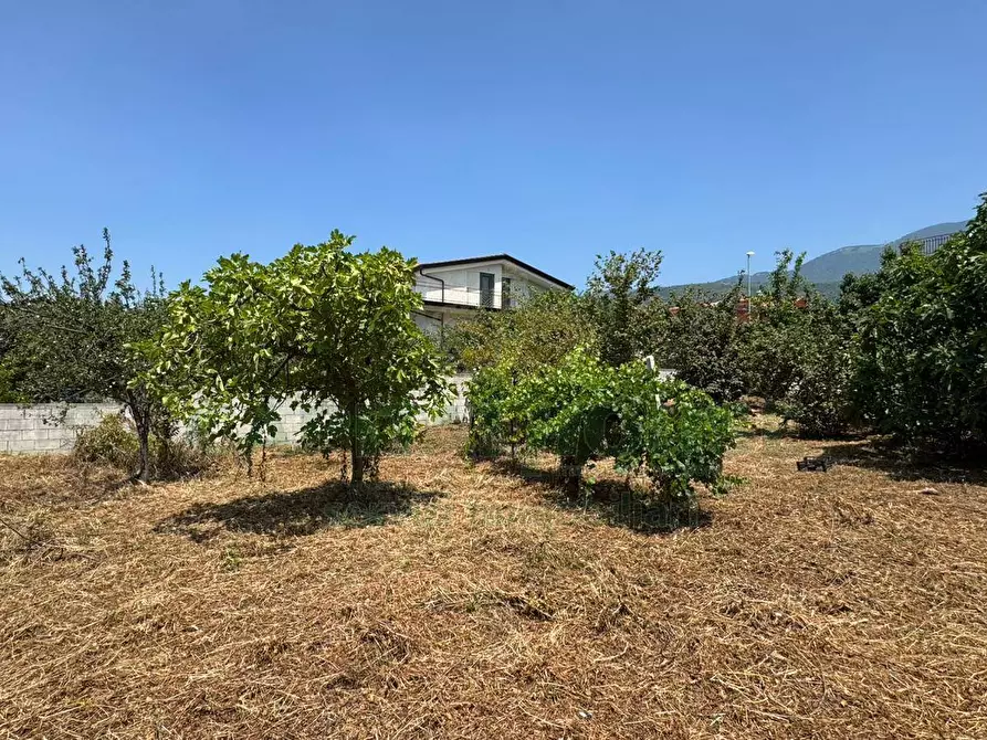 Immagine 3 di Terreno residenziale in vendita  in mugnano del cardinale a Mugnano Del Cardinale