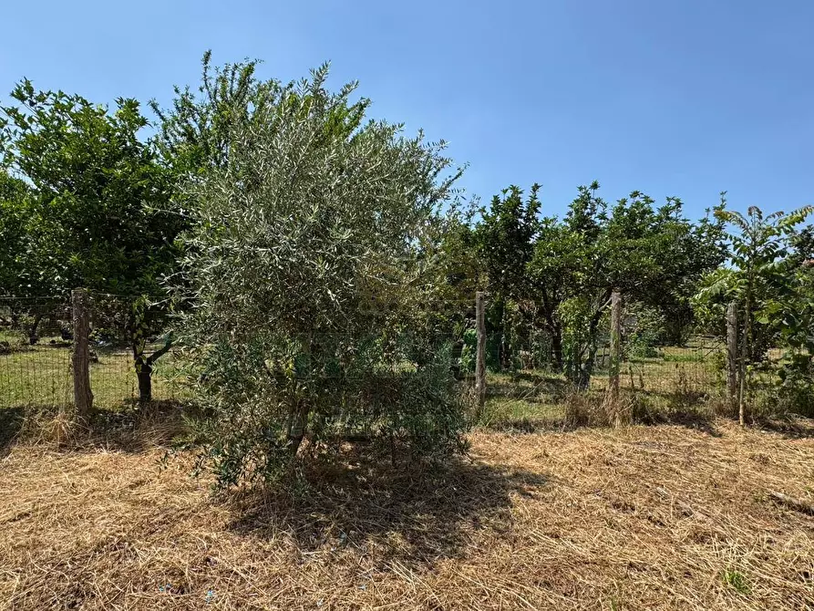Immagine 4 di Terreno residenziale in vendita  in mugnano del cardinale a Mugnano Del Cardinale