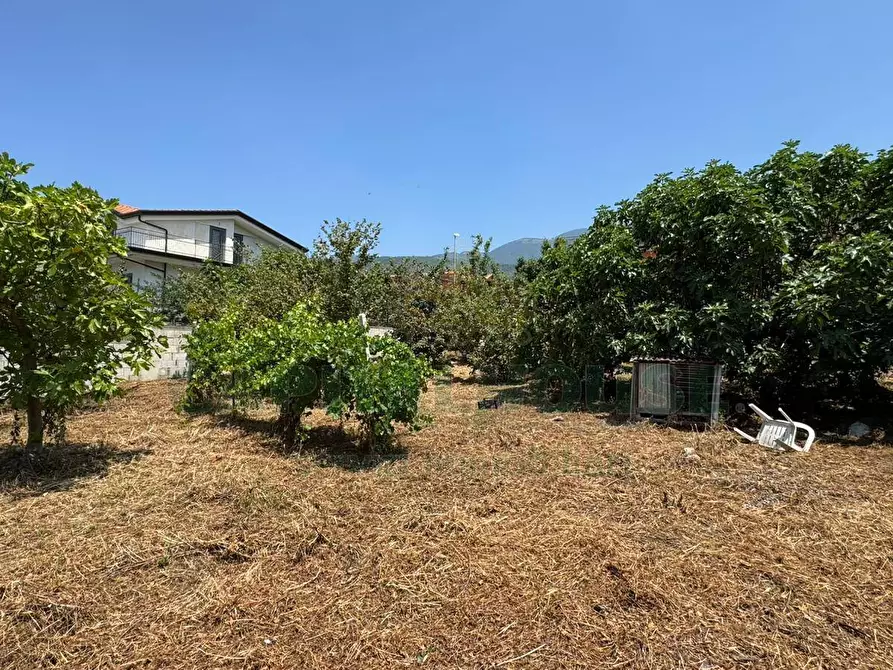 Immagine 7 di Terreno residenziale in vendita  in mugnano del cardinale a Mugnano Del Cardinale