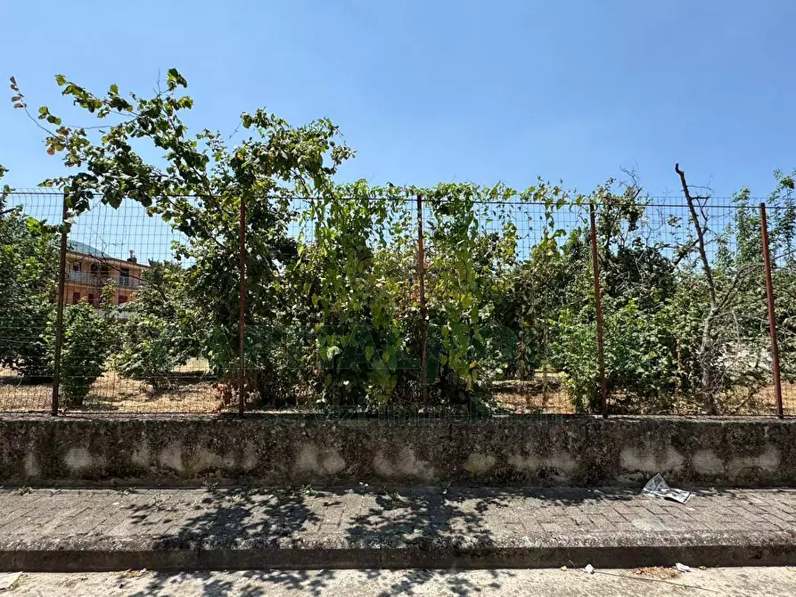 Immagine 8 di Terreno residenziale in vendita  in mugnano del cardinale a Mugnano Del Cardinale