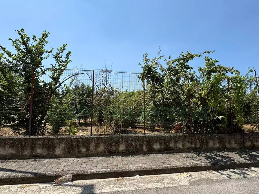 Immagine 9 di Terreno residenziale in vendita  in mugnano del cardinale a Mugnano Del Cardinale