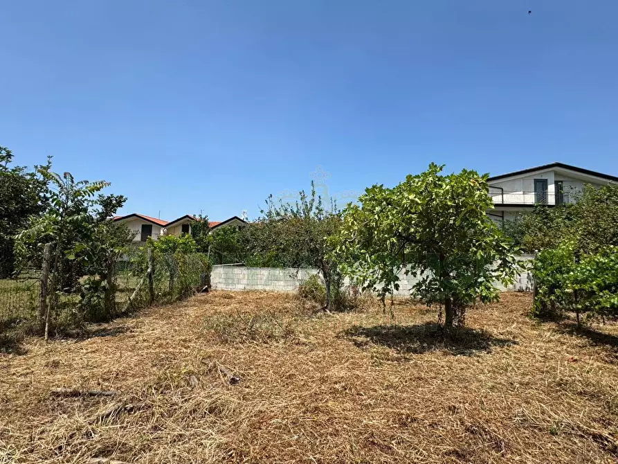 Immagine 12 di Terreno residenziale in vendita  in mugnano del cardinale a Mugnano Del Cardinale