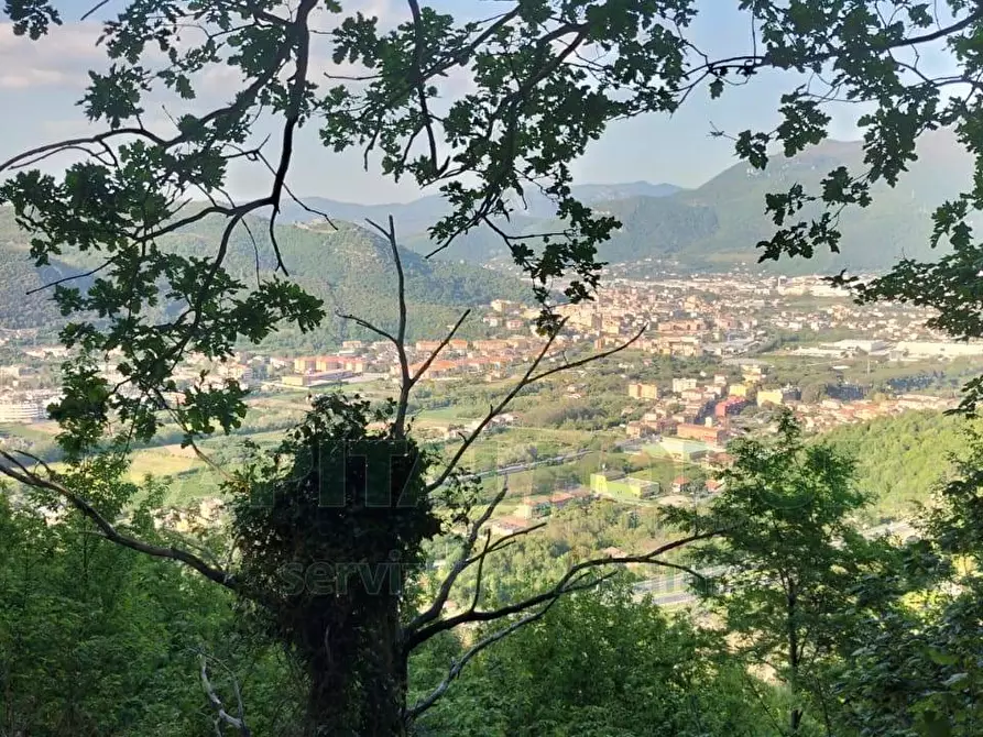 Immagine 2 di Terreno agricolo in vendita  in via volto cellaro a Mercato San Severino