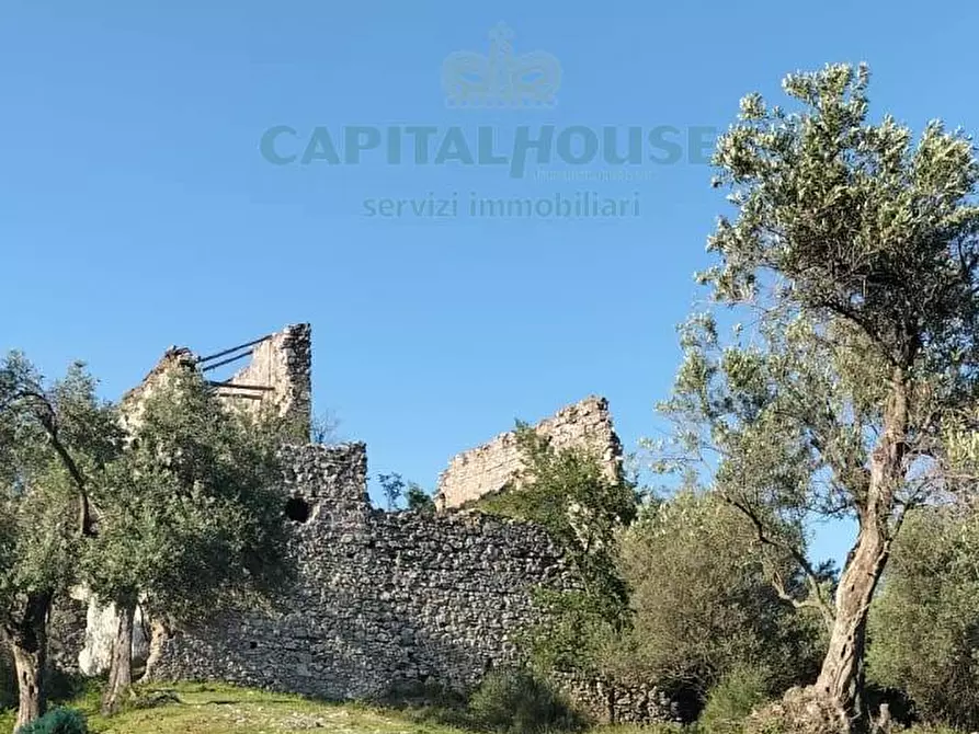 Immagine 3 di Terreno agricolo in vendita  in via volto cellaro a Mercato San Severino