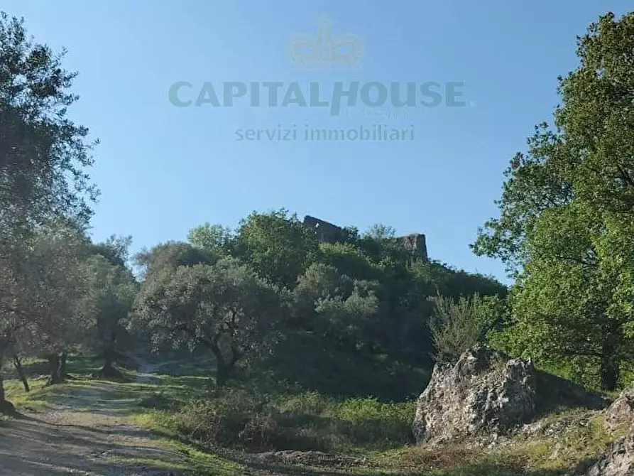 Immagine 5 di Terreno agricolo in vendita  in via volto cellaro a Mercato San Severino