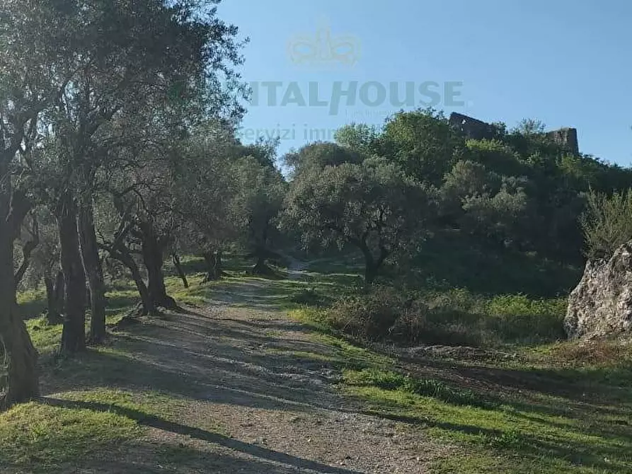Immagine 6 di Terreno agricolo in vendita  in via volto cellaro a Mercato San Severino