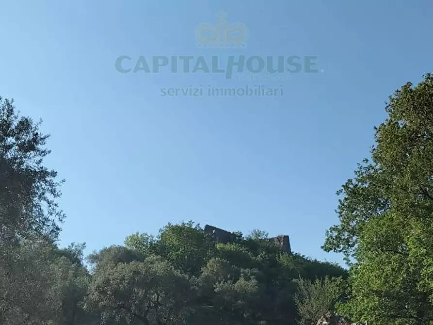 Immagine 7 di Terreno agricolo in vendita  in via volto cellaro a Mercato San Severino