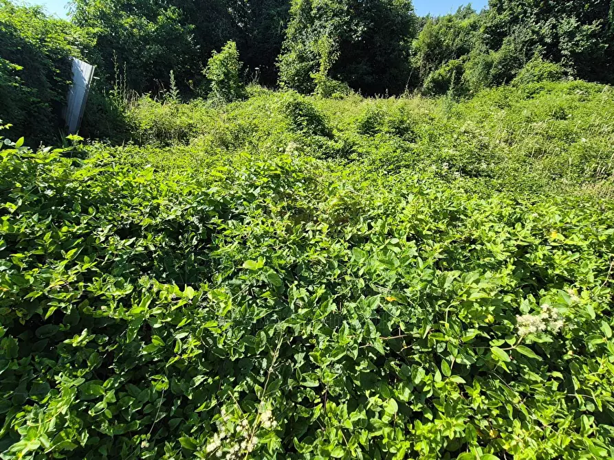 Immagine 6 di Terreno agricolo in vendita  a Marcianise