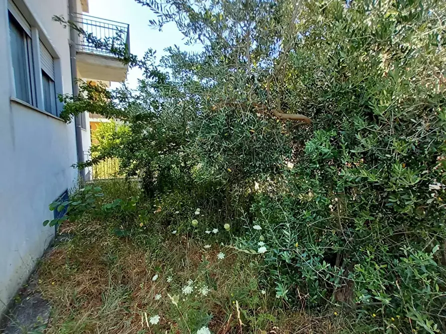 Immagine 19 di Villa in vendita  in sperone a Sperone