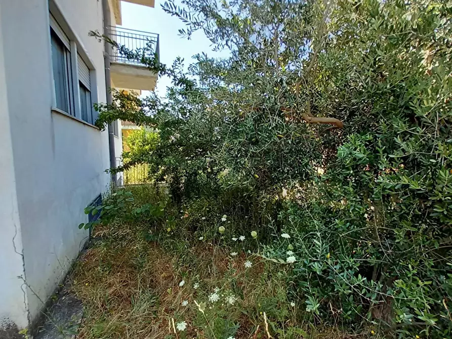 Immagine 20 di Villa in vendita  in sperone a Sperone