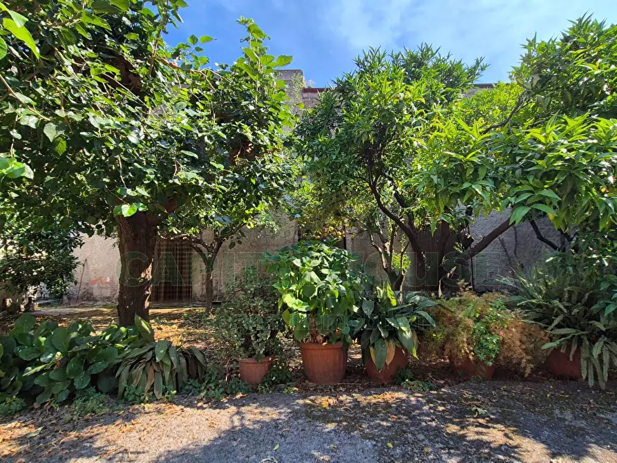 Immagine 7 di Casa indipendente in vendita  a Camigliano