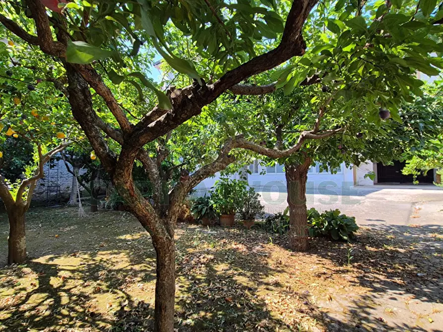 Immagine 8 di Casa indipendente in vendita  a Camigliano
