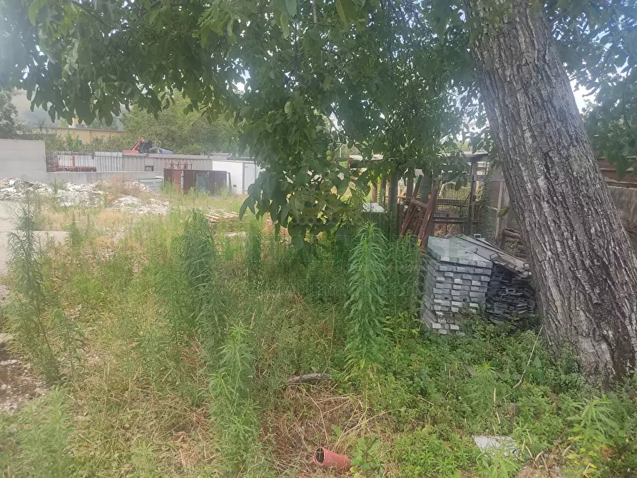 Immagine 3 di Terreno agricolo in vendita  in viale michelangelo a Sirignano