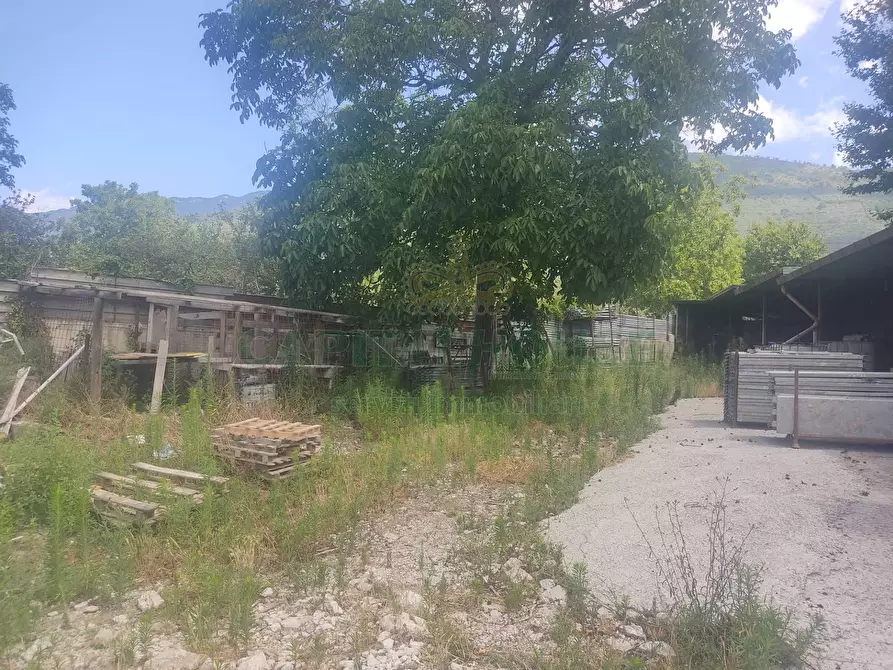 Immagine 7 di Terreno agricolo in vendita  in viale michelangelo a Sirignano