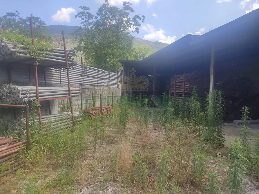 Immagine 9 di Terreno agricolo in vendita  in viale michelangelo a Sirignano