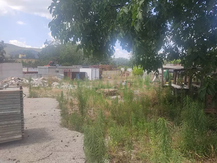 Immagine 11 di Terreno agricolo in vendita  in viale michelangelo a Sirignano
