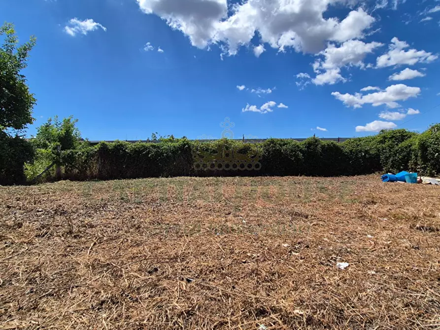 Immagine 1 di Terreno residenziale in vendita  a Marcianise