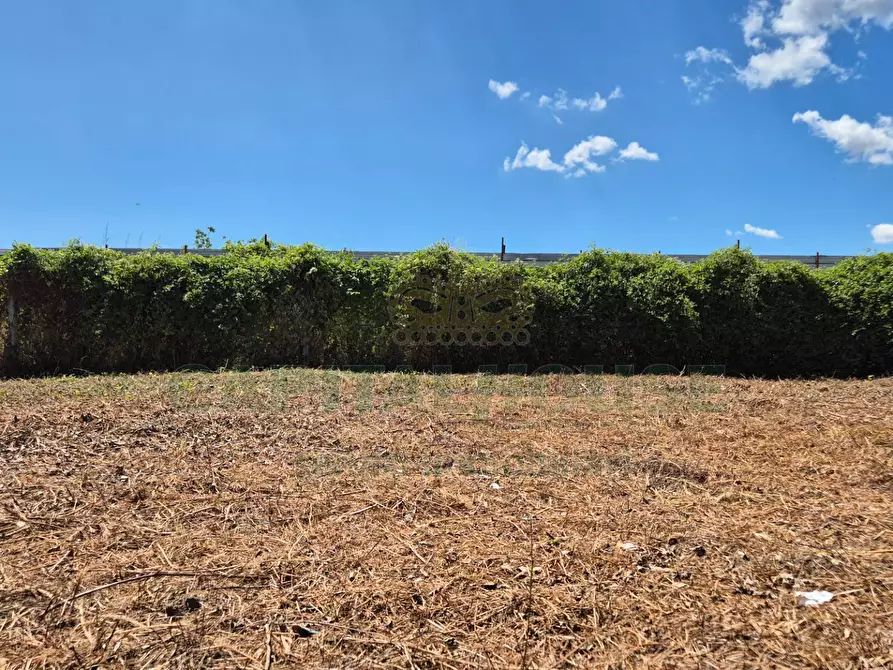 Immagine 3 di Terreno residenziale in vendita  a Marcianise